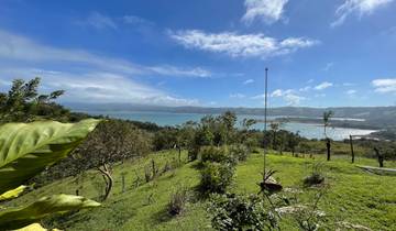 Scenic view of a lake with surrounding greenery.