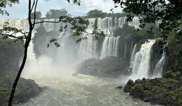 Waterfalls surrounded by lush forest