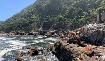 Suspension bridge over rocky coast with ocean waves.