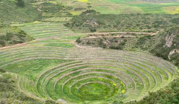 Circular terraced fields in green landscape.