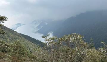 Fog-covered mountains with lush vegetation.