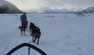 Dog sledding on snow-covered landscape with mountains.
