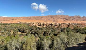 A view of a village with palm trees and mountains.