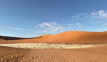 Panorama of a desert landscape with dunes and dead trees.