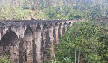 Scenic view of people walking on a high arched stone bridge surrounded by greenery.