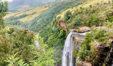 Scenic waterfall cascading into a lush gorge.