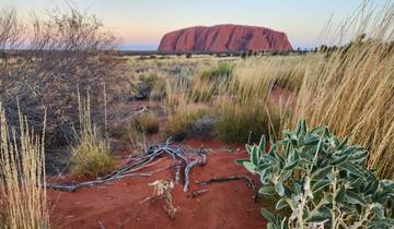 Uluru (Ayers Rock) in the distance with red desert foreground.