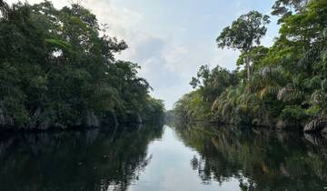 Serene river view with lush greenery.