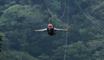Person enjoying zip-lining in forest