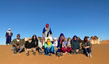 Group with camels sitting in the desert.