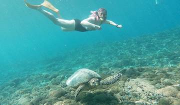 Person snorkeling with a turtle over a coral reef.