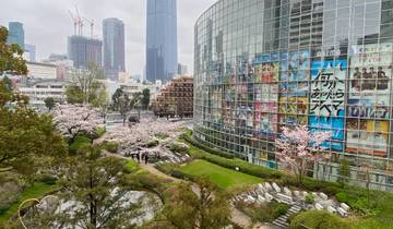 Cityscape with modern buildings and cherry blossoms in full bloom.