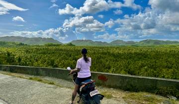 Person on a scooter overlooking a vast landscape with palm trees.