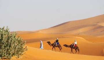 Camel caravan traveling through sand dunes.