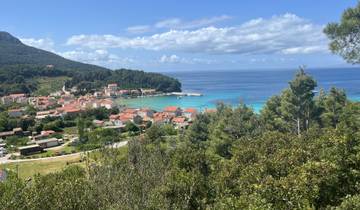 Aerial view of a coastal village with lush greenery and a blue sea.