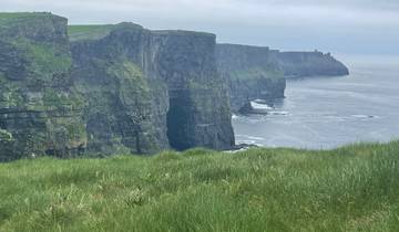 Cliffs by the ocean with grassy foreground.