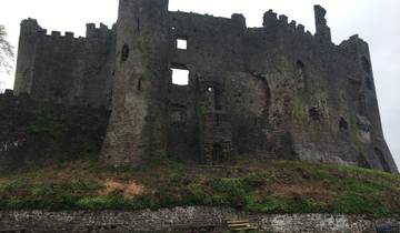 Old stone castle wall with visible architectural details.