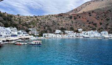 White buildings by the sea with a mountainous background.