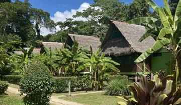 Thatched-roof lodges surrounded by tropical plants and trees.