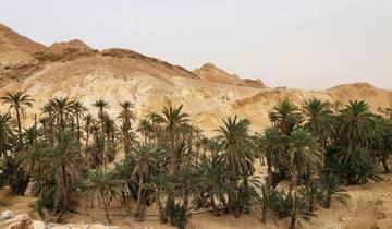 Lush oasis with palm trees and arid hills.