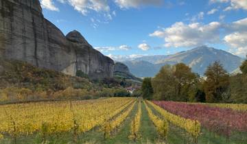 Vineyard with rocky hills and mountains in the background.