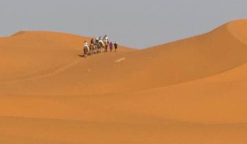 Camel caravan atop sand dunes in the desert.