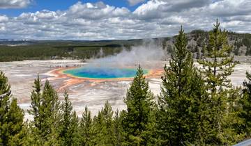Vibrant geothermal pool surrounded by forests.