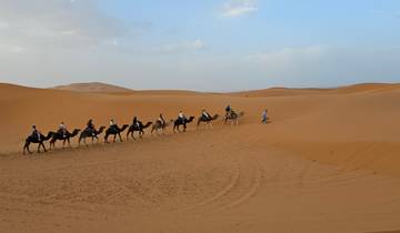 Camel caravan on sand dunes under a clear sky.