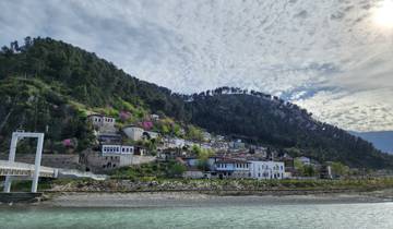 Scenic hillside town with trees in bloom.