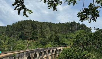 People walking on a nine-arch bridge surrounded by forest.