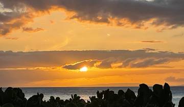 Sunset view over the ocean with silhouetted trees.