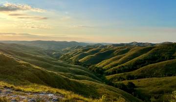Rolling hills during a golden sunset.