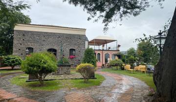 Charming garden with small building and pathways.