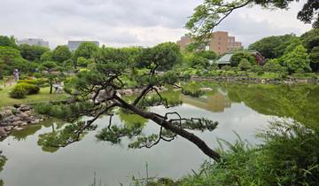Scenic pond with trees and buildings.