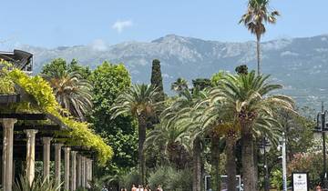 Lush park with palm trees and mountains in the background.
