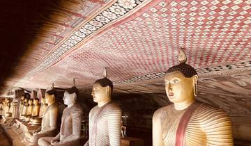 Ancient rock-cut temple with rows of Buddha statues.