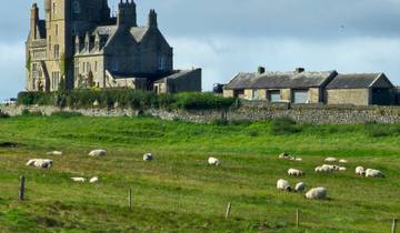 Castle with sheep grazing on a green field.