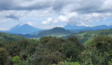Hilly landscape with dense forest and distant mountains.