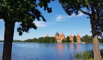 Lake view with a castle surrounded by trees and framed by two trees in the foreground.