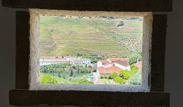 View of terraced vineyards through a stone window.