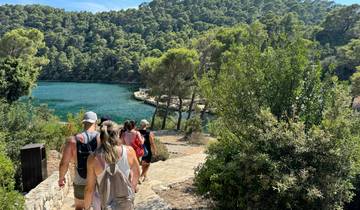 Hikers walking on a path surrounded by lush greenery near the water.