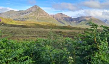 Majestic mountain range with lush green foreground.