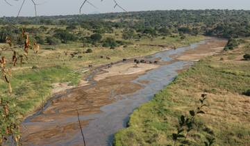 A river flowing through a scenic landscape with elephants visible in the distance.