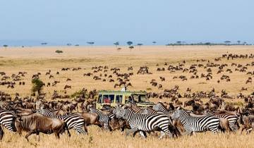 Zebras and wildebeest in a vast savannah landscape.