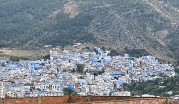 Hillside city with blue buildings.