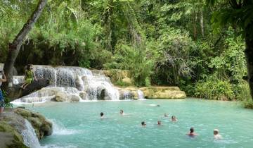 People swimming in a turquoise waterfall pool surrounded by forest.