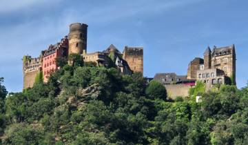 Large historic castle on the hillside surrounded by greenery.