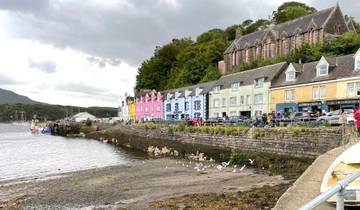 Colorful waterfront town with boats and birds