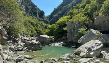 Natural pool surrounded by greenery and rocks.
