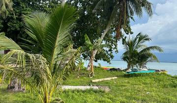 A coastal area with palm trees and a view of the ocean.
